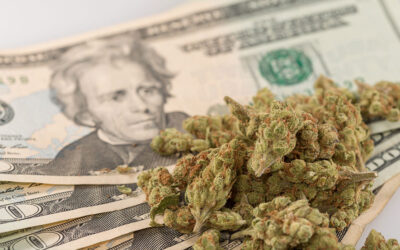 Michigan Marijuana Sales Hit Another Record In September, Reaching $212 Million