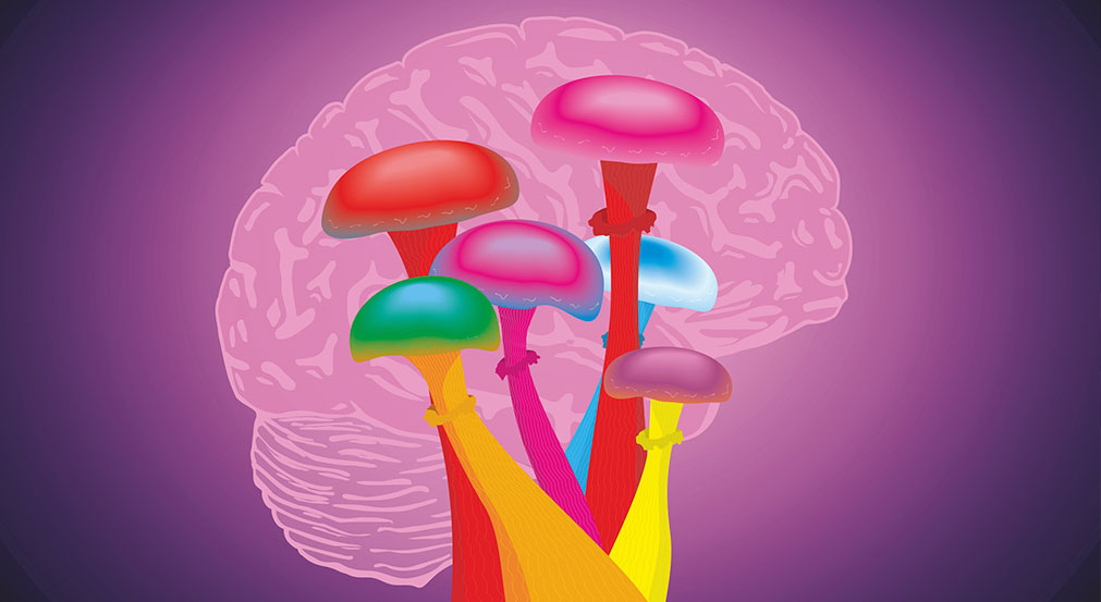 What does the future of legal consumption of magic mushrooms look like?