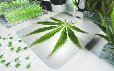 Budding Opportunities: Michigan Invests $4.4 Million in  Cannabis Reference Laboratory to Elevate Industry Standards