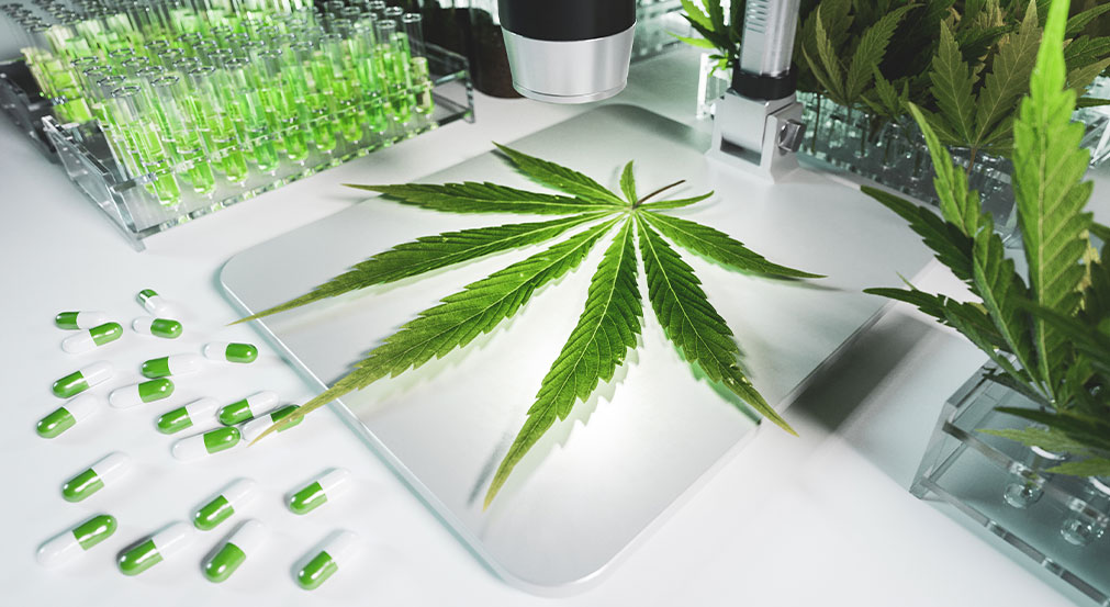 Budding Opportunities: Michigan Invests $4.4 Million in Cannabis Reference Laboratory to Elevate Industry Standards